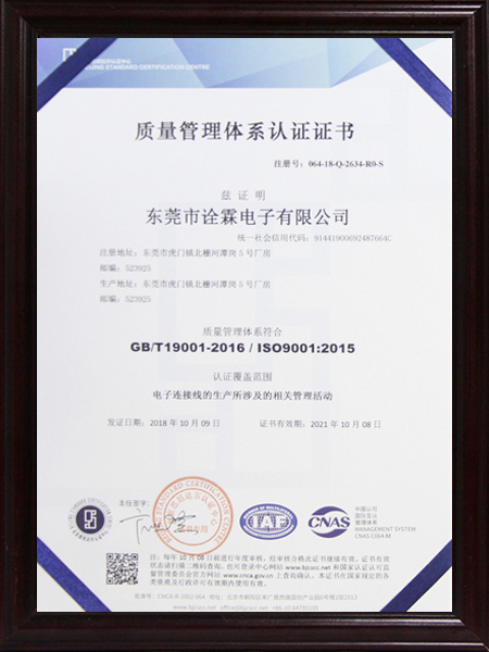 ISO-9001中文证书